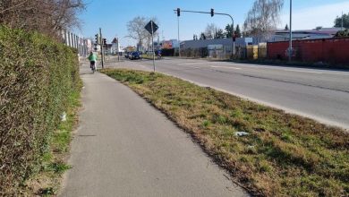 Vollsperrung in Speyer: Sanierungsarbeiten bis Mitte September