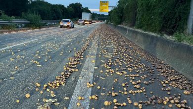 Vollsperrung auf der B9 bei Speyer - Mehrere hundert Kilogramm Kartoffeln verloren