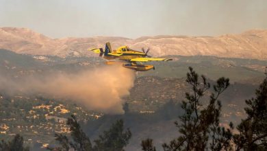 Kein Entwarnung für Rhodos: Waldbrände wüten weiterhin - Warnung vor hohem Feuerrisiko