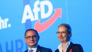 EVP-Chef Weber interpretiert den Wunsch der AfD nach einer „Union Europäischer Nationen“ als Kampfansage