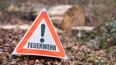 Waldbrandgefahr in Baden-Württemberg am 10.08.2023: Diese Wälder sind aktuell besonders gefährdet