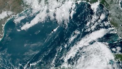 Florida im Alarmzustand: Gouverneur DeSantis ruft Notstand wegen Hurrikan "Idalia" aus