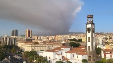 Großflächiger Waldbrand auf Teneriffa nahe Candelaria: Fotos und Videos