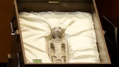 Mysteriöse Funde in Mexiko: Forscher präsentieren angebliche Alienkörper