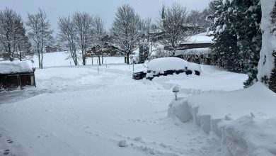 Winterliches Wetter in Hessen: Schneetief Oliver bringt Schnee und Frost