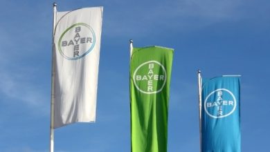 Bayer-Aktie auf Erfolgskurs: Fortschritte bei Wechseljahresmedikament und EU-Zulassung für 'Eylea'-Variante
